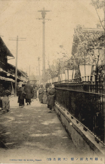 "Shinmachi Kyūken no Sakura" (Date Unknown, Osaka Municipal Library Collection)