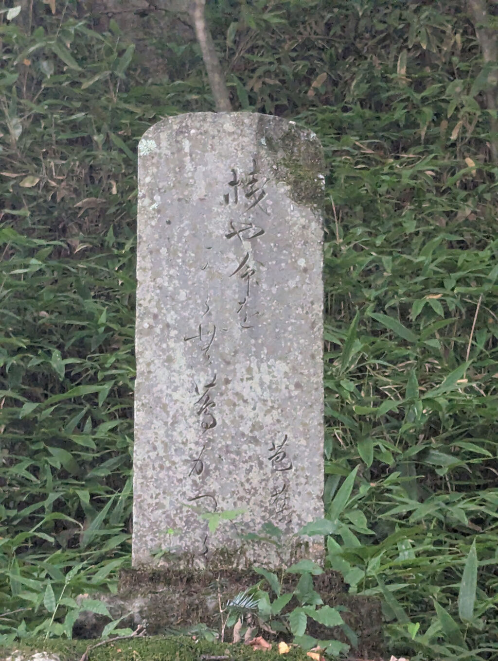 桟や命をからむ蔦葛（つたかづら）